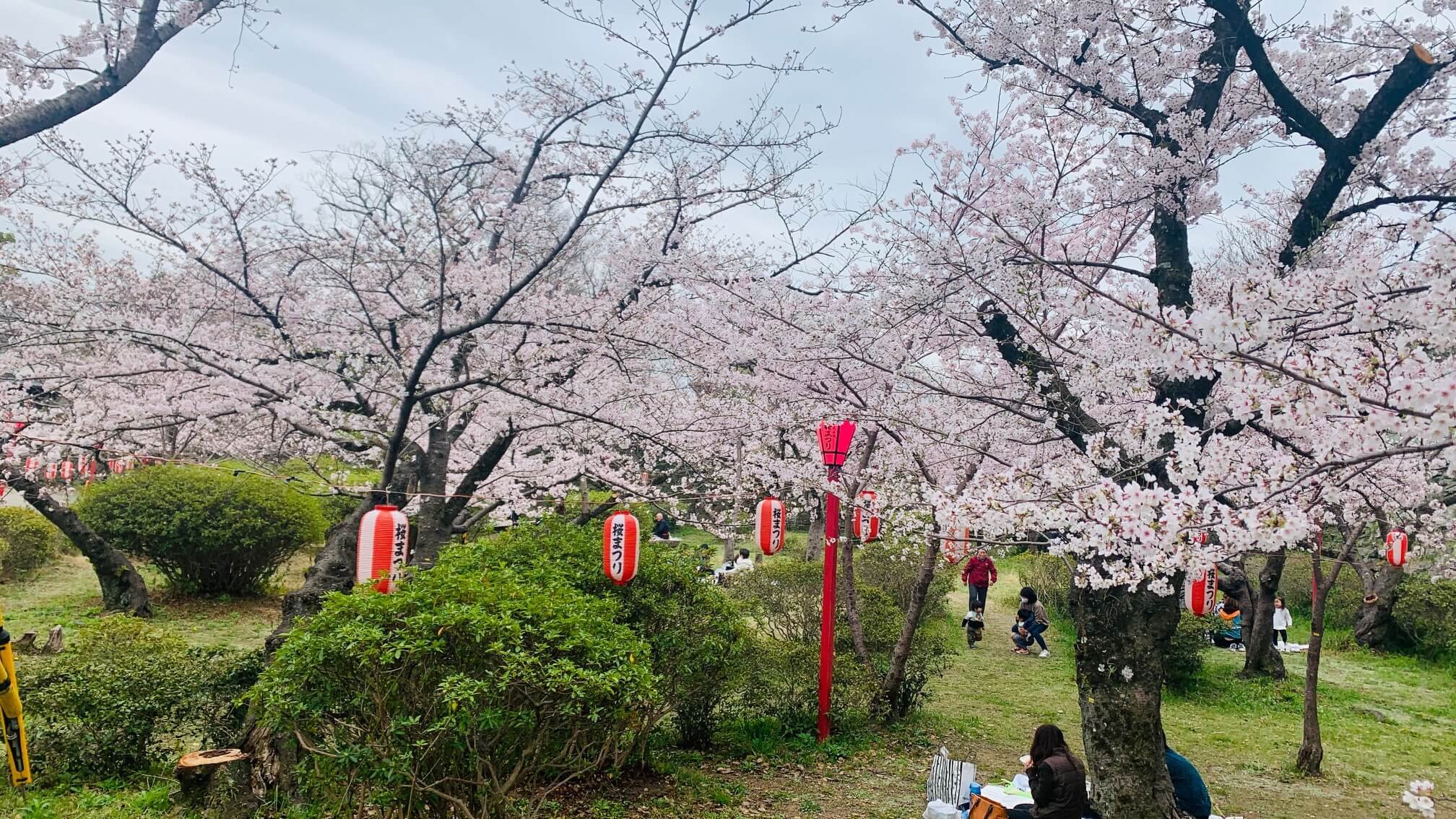 🏞️ 와가 강 그린파크(와가가와 그린파쿠)